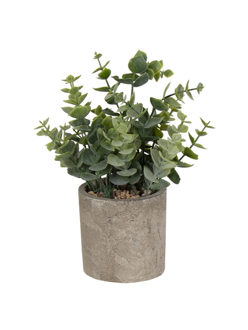 Künstlicher Eukalyptus - Höhe 22 cm - Schöne Farbtöne - Künstliche Zimmerpflanze für dein Zuhause