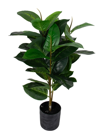 Künstlicher Gummibaum - Höhe 70 cm - Pflegeleichte Pflanze